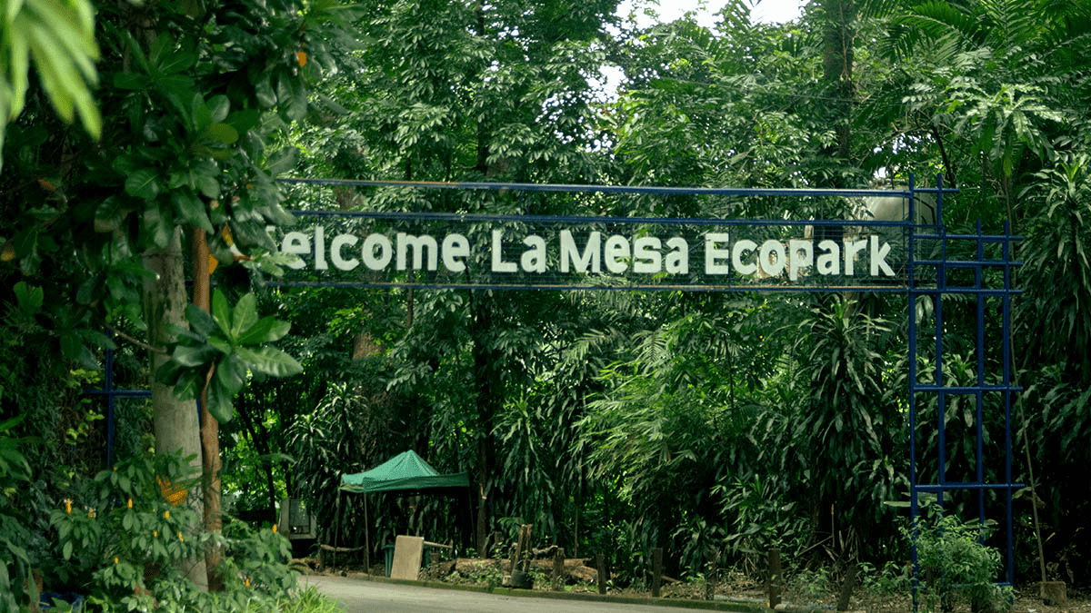 Achieving Serenity: La Mesa Eco Park as a Green Oasis in Metro Manila