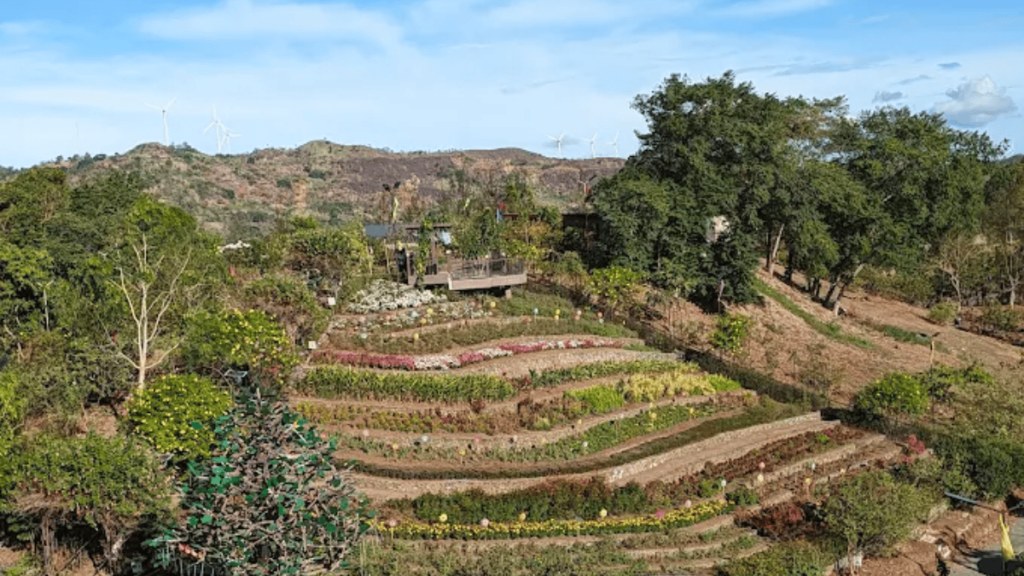 Tanay Rizal