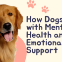 How Dogs Help with Mental Health and Emotional Support