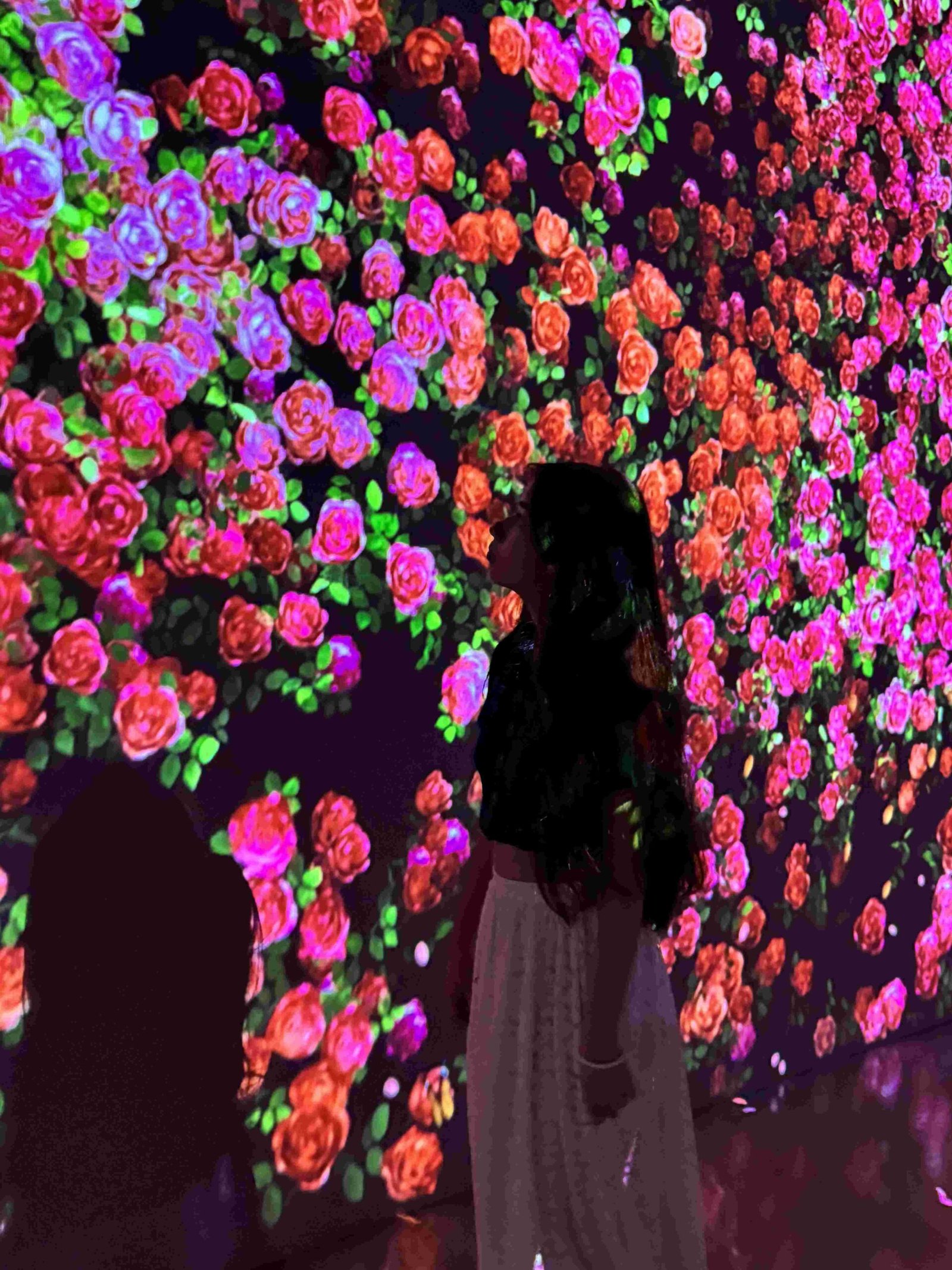 Digital National Art Museum