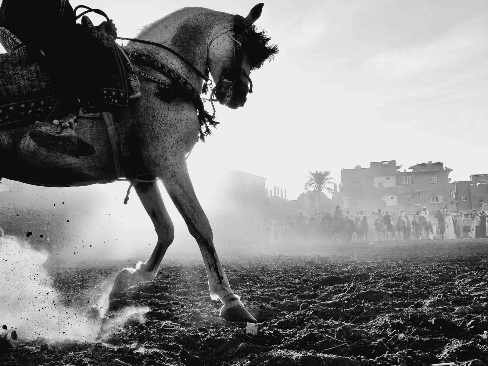 OPPO Photography Awards, its annual international competition celebrating creativity, storytelling, and the power of mobile photography.