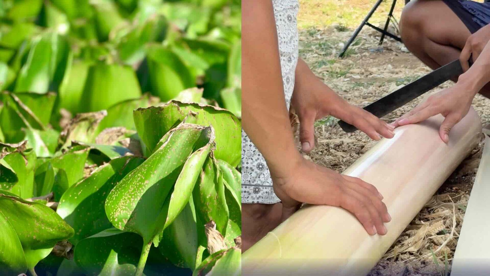 (DOST-PTRI) is set to launch ONWARD: Philippine Nonwoven Textile Innovation on July 1, 2026,